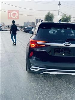 کیا سێلتۆس